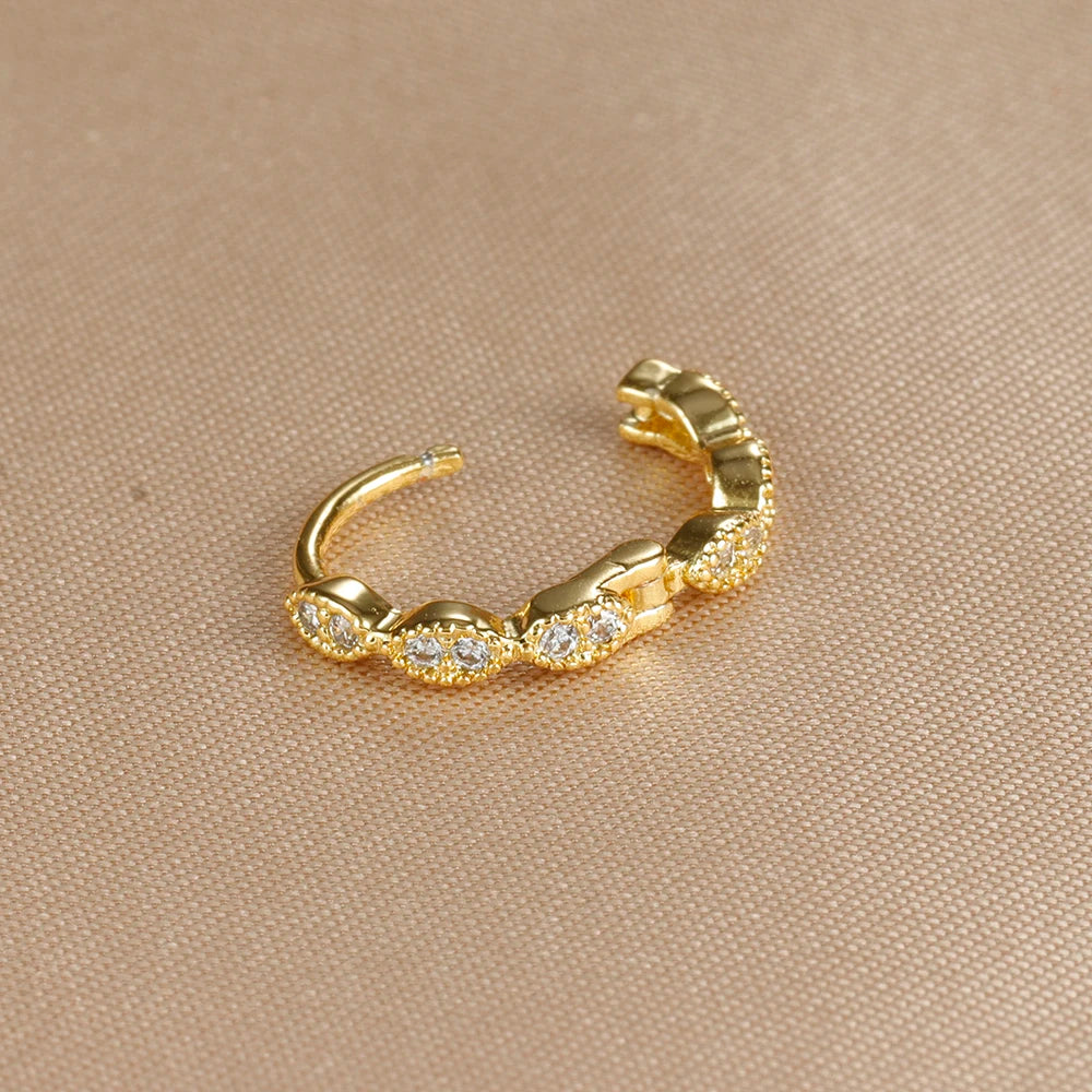 1PC 18K Gold Plated Stainless Steel Round Circle Earrings for Women Teens Cubic Zircon Star Leaf Hoop Earrings Piercing Jewelry